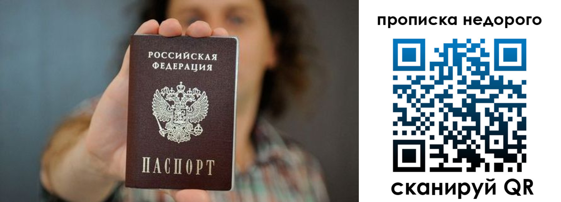 прописка гарантия в Сертолово